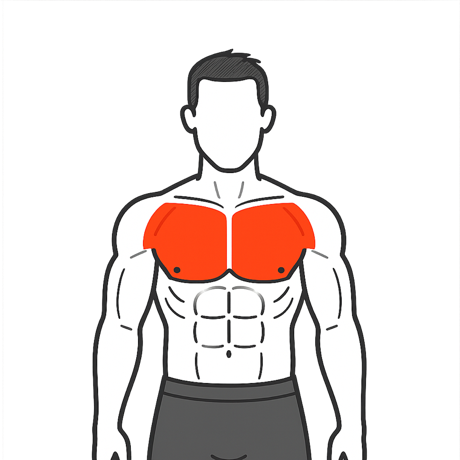 Muscle activation map